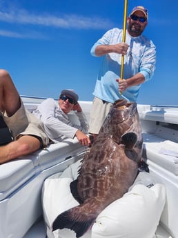 Fishing in Pensacola, Florida