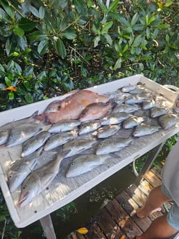 Fishing in Bay Pines, Florida