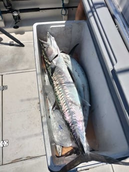 Fishing in Jacksonville, Florida