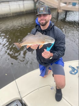 Redfish fishing in Palm Coast, Florida