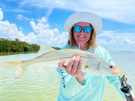 Snook fishing in Tavernier, Florida