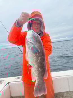 Fishing in Westport, Massachusetts