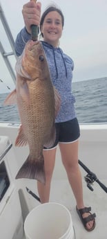 Fishing in Destin, Florida