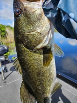 Fishing in Deerfield Beach, Florida