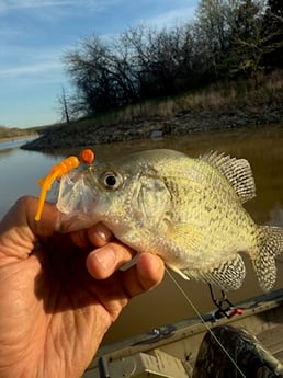 Fishing in Saint Charles, Missouri