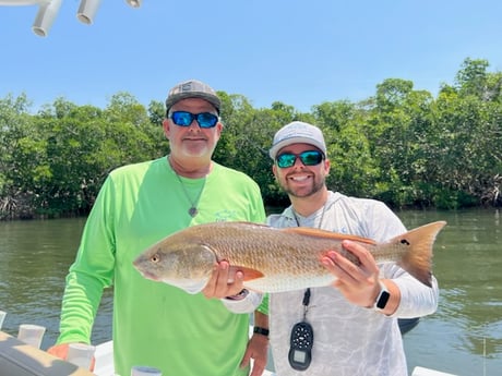Redfish Fishing in Holmes Beach, Florida