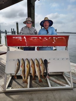 Flathead Catfish, Redfish Fishing in