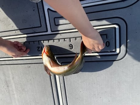 Fishing in Pembroke Pines, Florida