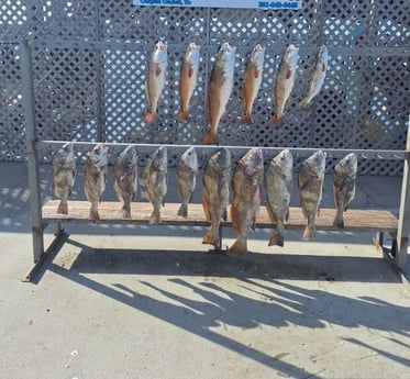 Fishing in Corpus Christi, Texas