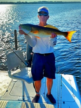Fishing in Jacksonville, Florida