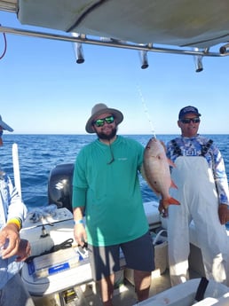Fishing in Naples, Florida
