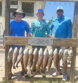 Black Drum, Redfish Fishing in Port Aransas, Texas