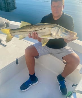 Snook fishing in Miami Beach, Florida