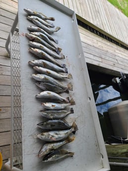 Fishing in Grand Isle, Louisiana