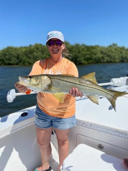 Snook fishing in Placida, Florida