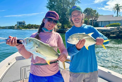 Jack Crevalle Fishing in Sarasota, Florida