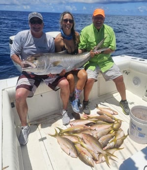 Amberjack, Yellowtail Snapper Fishing in St. Petersburg, Florida