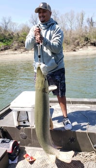 Alligator Gar fishing in Coldspring, Texas