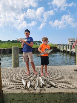 Speckled Trout Fishing in Gulf Shores, Alabama