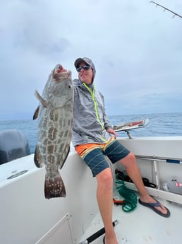 Gag Grouper Fishing in Marathon, Florida