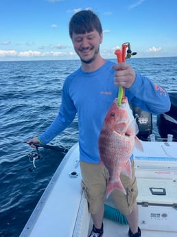 Fishing in Gulf Shores, Alabama