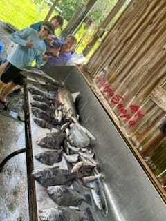 Fishing in Biloxi, Mississippi