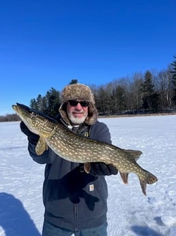 Fishing in Stanwood, Michigan