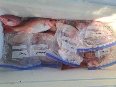 Fishing in Ocean Isle Beach, North Carolina