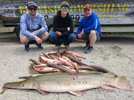 Alligator Gar Fishing in Livingston, Texas