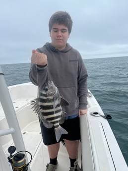 Sheepshead Fishing in Mount Pleasant, South Carolina