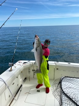 Striped Bass fishing in Montauk, New York
