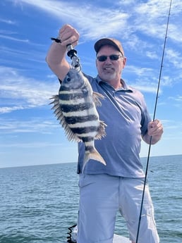Sheepshead Fishing in Crystal River, Florida