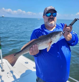 Redfish Fishing in Santa Rosa Beach, Florida