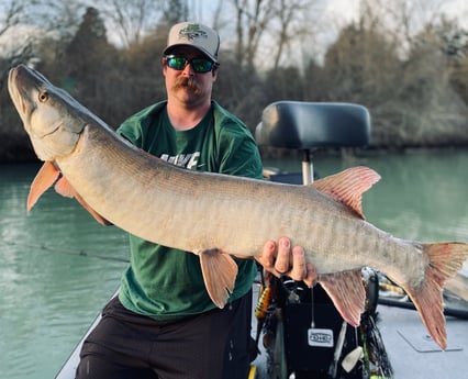 Muskie fishing in Knoxville, Tennessee