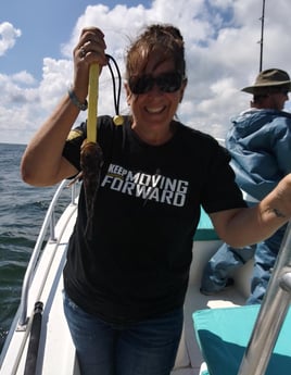 Triggerfish fishing in St. Mary&#039;s, Georgia