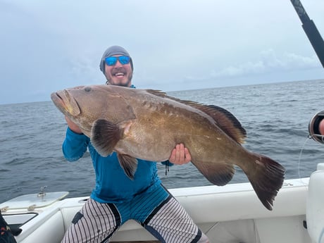 Gag Grouper Fishing in Gulfport, Florida
