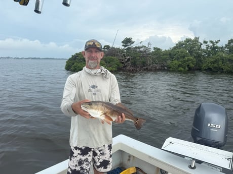 Fishing in Bradenton, Florida