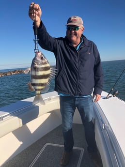 Sheepshead Fishing in Hitchcock, Texas