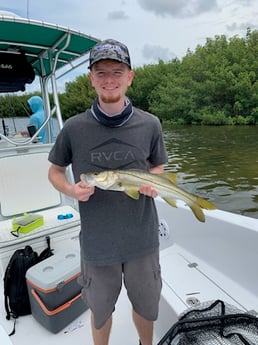 Snook Fishing in Tampa, Florida