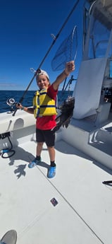 Fishing in Portsmouth, Rhode Island