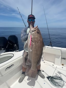 Fishing in Key West, Florida