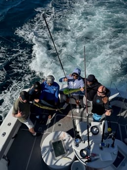 Fishing in Miami Beach, Florida