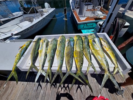 Fishing in Marathon, Florida