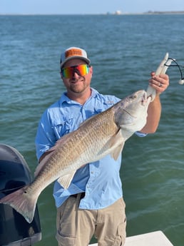 Redfish, Sheepshead fishing in Port O'Connor, Texas