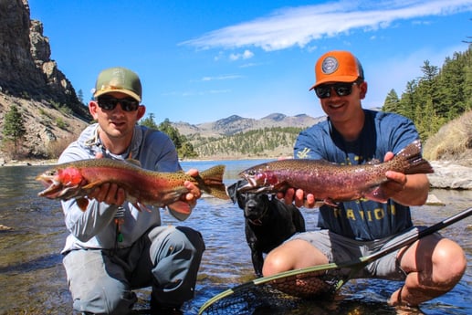 Cutthroat Trout fishing in Deer Lodge, Montana