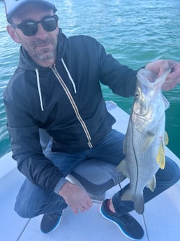 Snook fishing in Miami Beach, Florida
