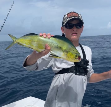 Mahi Mahi Fishing in Jupiter, Florida
