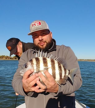 Sheepshead Fishing in St. Augustine, Florida
