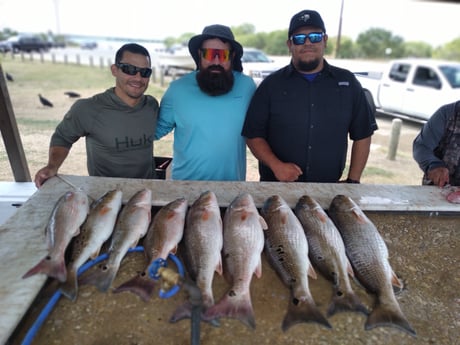 Redfish Fishing in San Antonio, Texas