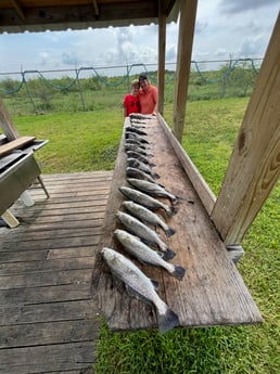 Fishing in League City, Texas